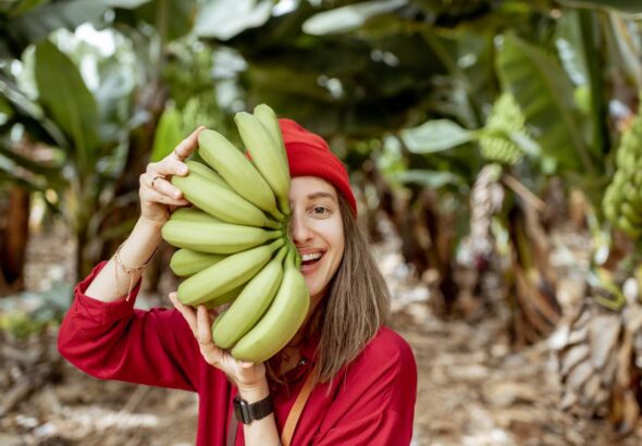 woman-with-banana-stem-on-the-pantation-2023-11-27-05-05-11-utc (1)