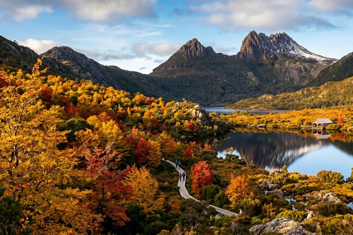 Tasmania fagus autumn foliage Cradle Mountain